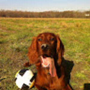 Meet your Posher, Tim